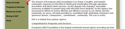 Evergreen AIDS Foundation Design Sample